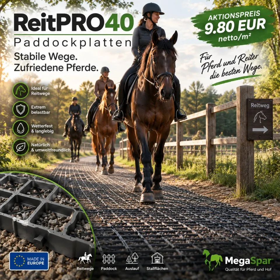 ReitPRO Paddockplatten kaufen robuste Rasengitter und Kiesgitter für Pferde